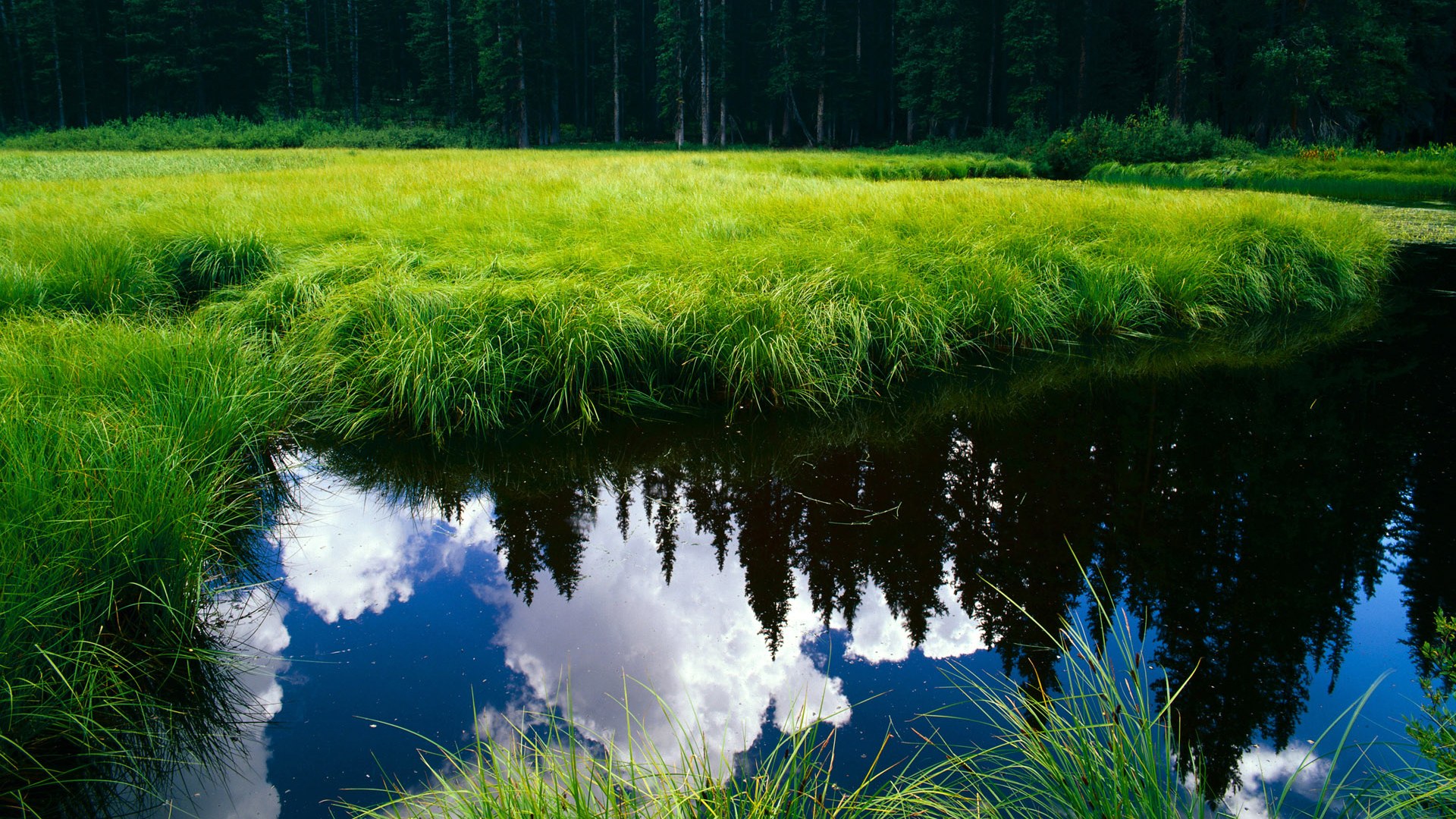 _篮网战术执行到位，锁定比赛胜果_，篮网战术分析