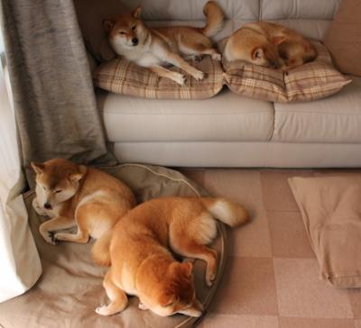 开云全站-【青训故事】新一代“丁俊晖”成长路上的艰辛与坚持，丁俊晖的成长历程