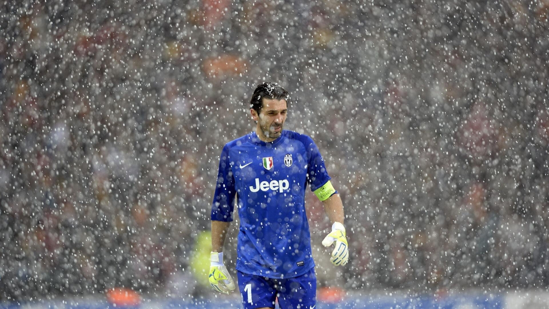 开运app官网-奥地利男队自由泳强势起步，奥地利游泳名将